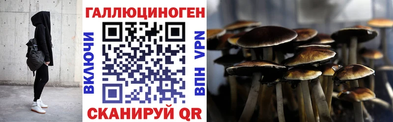 Псилоцибиновые грибы GOLDEN TEACHER  купить закладку  Нефтеюганск 